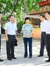 淮北市委书记肖超英一行来必赢官网调研环山东路建设