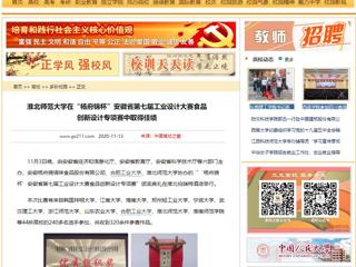 【中国高校之窗】：437ccm必赢国际官方网站在“杨府锦杯”安徽省第七届工业设计大赛食品创新设计专项赛中取得佳绩