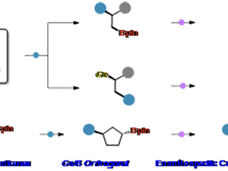 必赢官网教育部重点实验室徐梦雨团队在《Angewandte Chemie International Edition》发表高水平研究成果